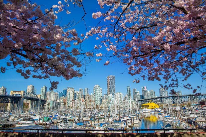 Vancouver Skyline