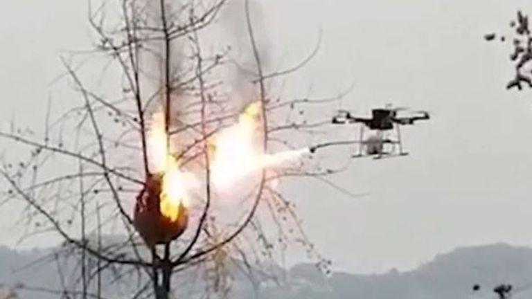 Drone versus wasp nest.