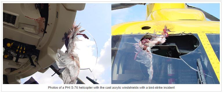 Birds striking the cockpit windshield